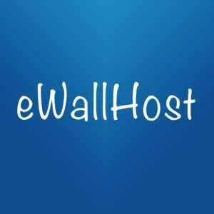 eWallhost: 競合他社を圧倒するかもしれない.comドメインの8月セール
