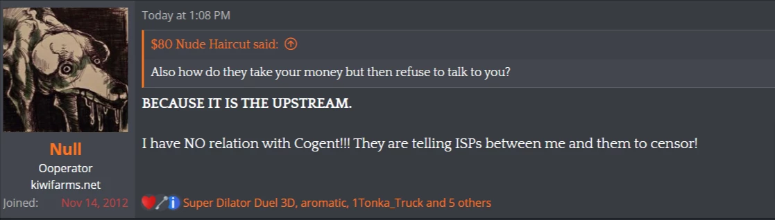 キウイ農場の上流