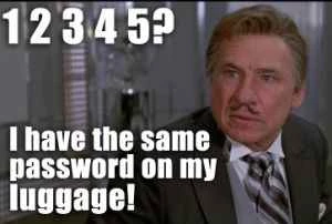 スペースボール ラゲッジ