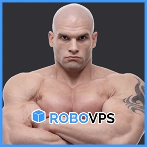 RoboVPS: ドイツまたはオランダのルーブル建て VM が月額 1.67 ドルから!