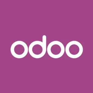 Odoo のインストール方法（Odoo 側では説明してくれません）