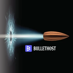 月額 2.10 ユーロで BulletHost の VPS または共有ホスティングを利用できることをご存知ですか?