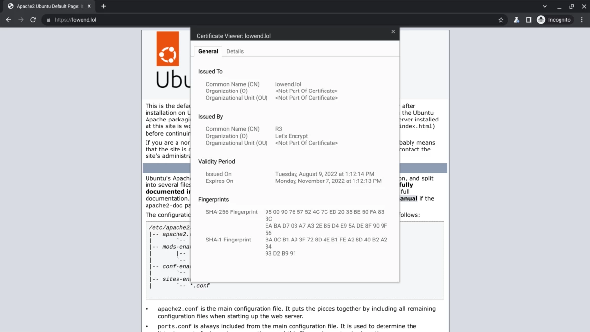 8月9日発行の証明書