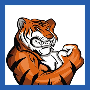 ブラック フライデー: Hostiger が 1GB RAM で年間 19 ドルから始まる VmWare ベースの安価な VPS システムを導入!