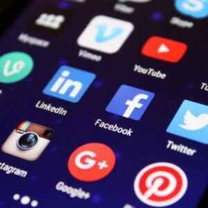 フォローしてください！いいね！観てください！見つめてください！匂いを嗅いでください！